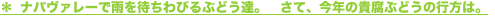 shapeimage_2_link_7