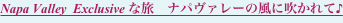 shapeimage_2_link_4